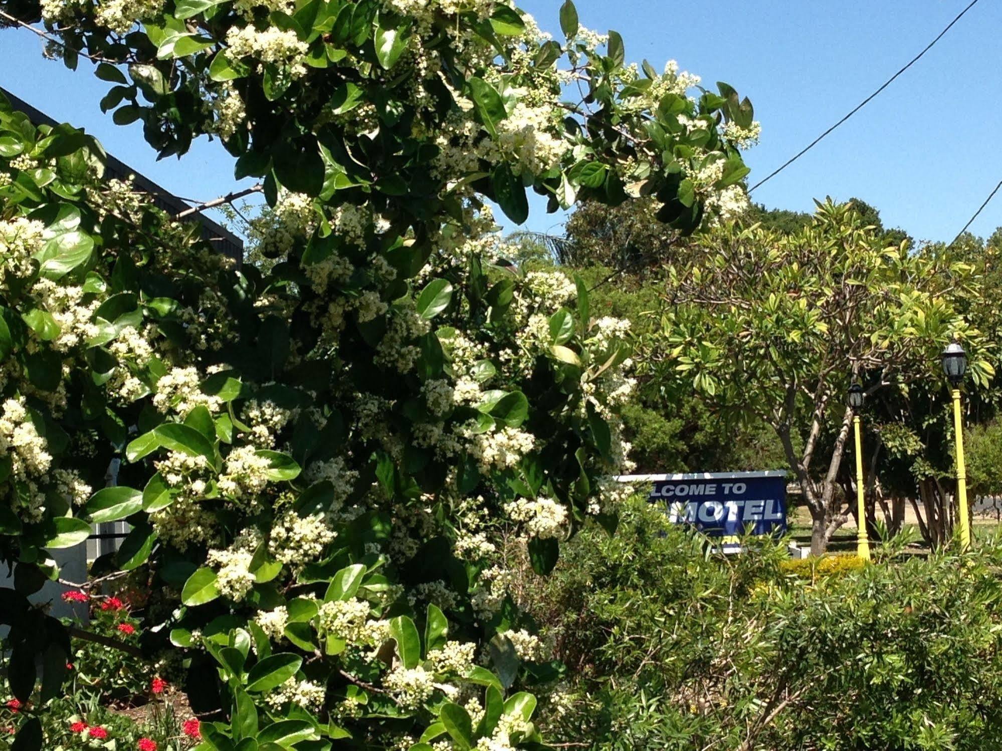 Boggabilla Motel Ngoại thất bức ảnh